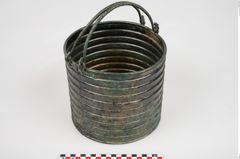Foto von Bronzerippenciste (NHMW-PRAE-025983)